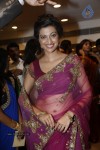 Hamsa Nandini Hot Stills - 112 of 152