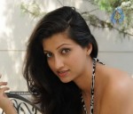 Hamsa Nandini New Stills - 4 of 42