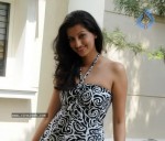 Hamsa Nandini New Stills - 15 of 42