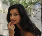 Hamsa Nandini New Stills - 19 of 42