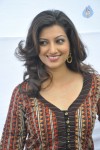 Hamsa Nandini Stills - 45 of 51