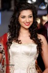 Hamsa Nandini Stills - 50 of 45