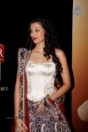 Hamsa Nandini Stills - 44 of 45