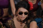 Hansika High Resolution Photos - 60 of 66