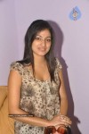 Hari Priya Stills - 102 of 114