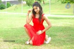 Harika New Gallery - 62 of 65