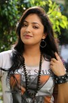 Haripriya Gallery - 43 of 88