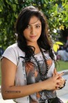 Haripriya Gallery - 63 of 88