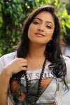 Haripriya Gallery - 85 of 88