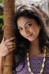 Haripriya New Photos - 49 of 77