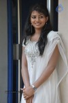 Hasika New Stills - 50 of 69