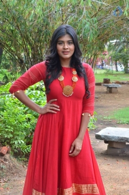 Hebah Patel Latest Photos - 2 of 20