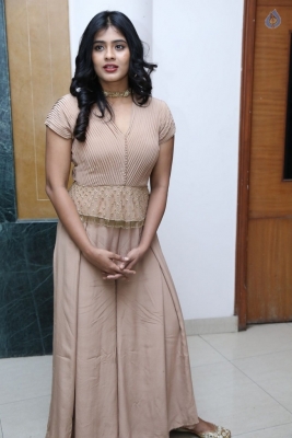 Hebah Patel New Gallery - 19 of 21