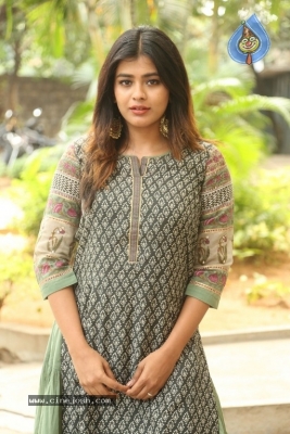 Hebah Patel New Photos - 1 of 30