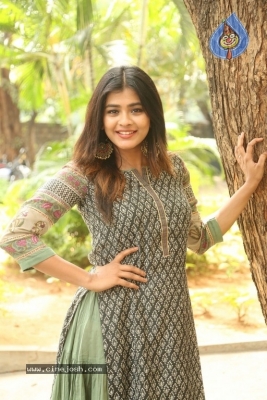 Hebah Patel New Photos - 4 of 30