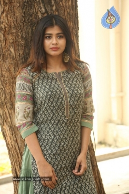 Hebah Patel New Photos - 5 of 30