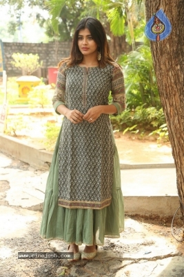 Hebah Patel New Photos - 6 of 30