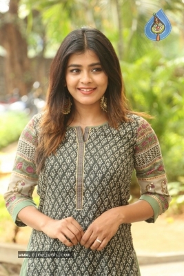 Hebah Patel New Photos - 7 of 30