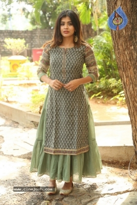 Hebah Patel New Photos - 14 of 30