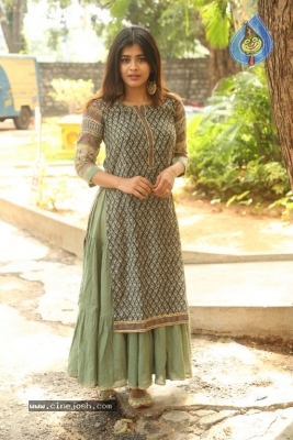 Hebah Patel New Photos - 17 of 30