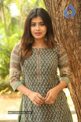 Hebah Patel New Photos - 20 of 30