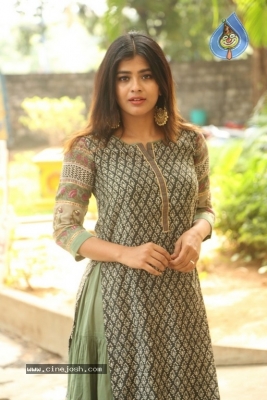 Hebah Patel New Photos - 21 of 30