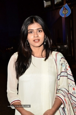 Hebah Patel Photos - 1 of 31