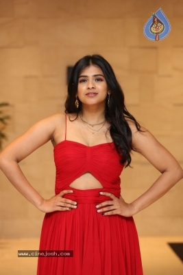 Hebah Patel Photos - 3 of 14