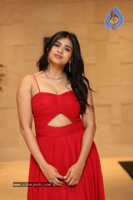 Hebah Patel Photos - 8 of 14