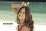 Ileana Spicy Gallery  - 2 of 16