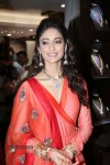 Ileana Latest Photos - 61 of 73