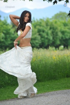 Ileana New Photos - 63 of 63