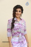 Isha Talwar New Pics - 77 of 86