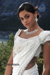 Karthika Latest Gallery - 11 of 22