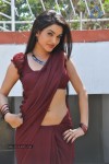 Kavya Singh Spicy Stills - 65 of 94