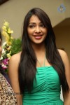 Kesha Khambhati Hot Stills - 61 of 98