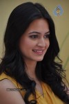 Kriti Kharbanda New Stills - 49 of 69