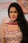 Lavanya Tripathi Pics - 16 of 55