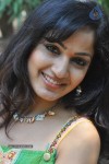 Madhavi Latha Photos - 45 of 64