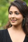 Madhu Shalini New Gallery - 117 of 148