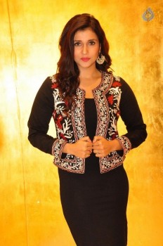 Mannara Chopra New Photos - 28 of 42