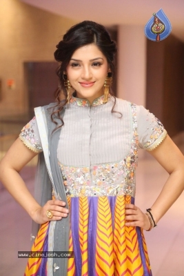 Mehreen Kaur Pirzada Gallery - 17 of 21