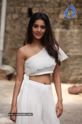 Nabha Natesh Gallery - 17 of 21