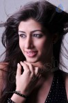 Nandini Hot Photo Gallery - 55 of 59