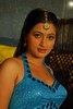 Navneet Kaur Spicy Gallery - 62 of 77