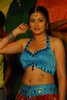 Navneet Kaur Spicy Gallery - 63 of 77