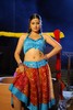 Navneet Kaur Spicy Gallery - 48 of 77