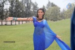 Neelam Upadhyay Hot Pics - 14 of 60