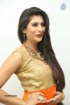 Neha Saxena Latest Photos - 61 of 57