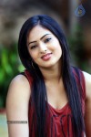 Nikesha Patel Latest Gallery - 55 of 125